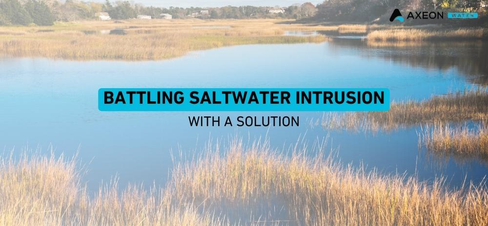 Addressing the Rising Tide: Battling Saltwater Intrusion (with a solution)